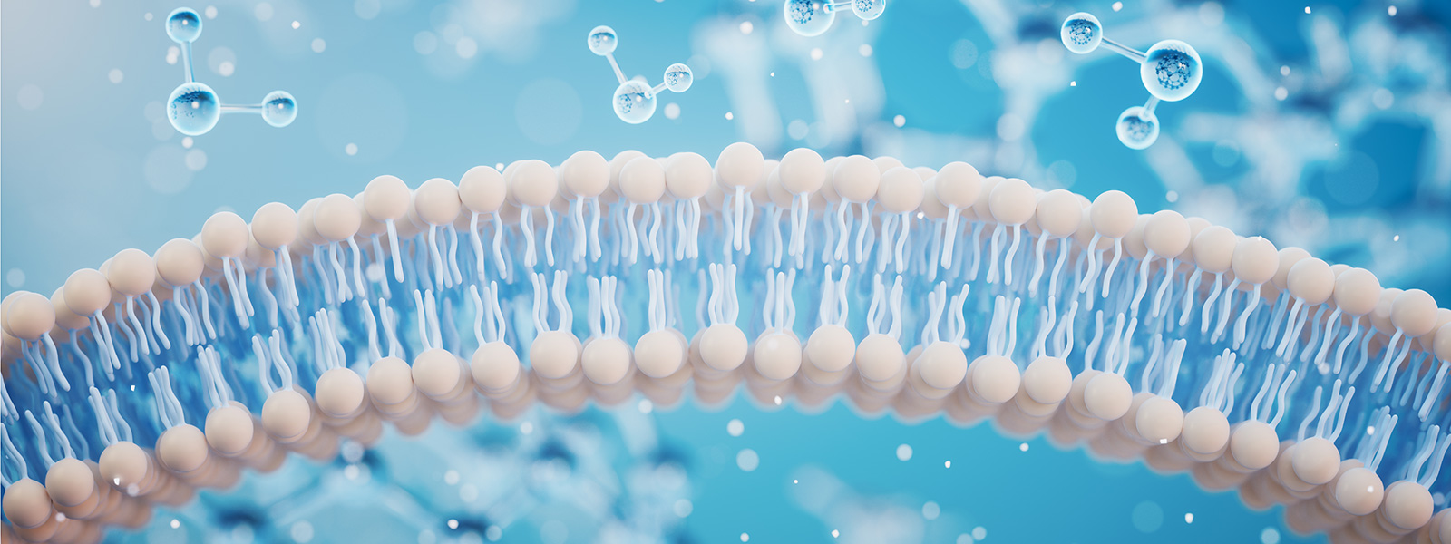 Human-derived Protein Technology Platform